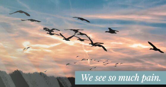 Grief, Loss, Surviving Grief, Comfort, Bereavement, Grieving Families, Losing a Child, Losing a Loved One, Healing a Broken Heart, A Time to Mourn, Weep With Those Who Weep, Tears, Pain of Loss, Caring For the Hurting, God of All Comfort, Understanding Grief, Being a Good First Responder
