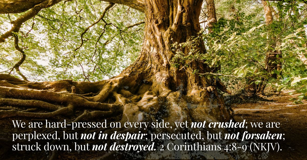 Grief, Loss, Surviving Grief, Comfort, Bereavement, Grieving Families, Losing a Child, Losing a Loved One, Healing a Broken Heart, A Time to Mourn, Weep With Those Who Weep, Tears, Pain of Loss, Caring For the Hurting, God of All Comfort, Understanding Grief, God is Faithful